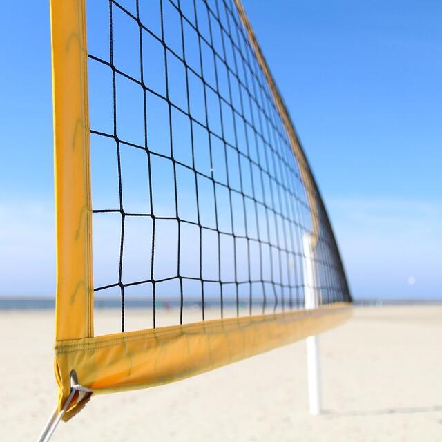 Multi-Purpose Knotted Sports N – обзор и цена Badminton Net